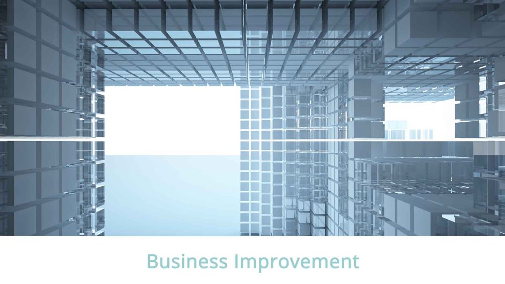 DSM-Tax-&-Advisory-Service-2-Business-Improvement